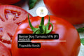 Better Boy Tomato Seeds VFN Hybrid - 10 Seeds Solanum lycopersicum