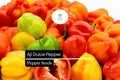 Aji Dulce Pepper Seeds – 10 Sweet Mild Caribbean Capsicum chinense Seeds