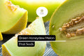 50 Green Honeydew Melon Seeds – Sweet Juicy Heirloom Cucumis Melo