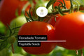 Floradade Tomato Seeds – 50 Seeds, Heat-Tolerant, High-Yielding