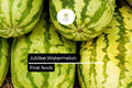 Jubilee Watermelon Seeds – Sweet Juicy Striped Heirloom (Citrullus lanatus) – 5 Seeds