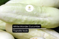 White Wonder Cucumber Seeds - 50 Seeds, Unique White Skin Cucumis sativus