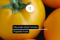 Mountain Gold Tomato Seeds – 10 Vibrant Yellow Slicing Tomato Seeds (Solanum lycopersicum)