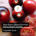 15 Blue Room Micro Dwarf Tomato Seeds – High-Yield Heirloom