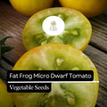 Fat Frog Micro Dwarf Tomato Seeds – 15 Heirloom Non-GMO Compact High-Yield