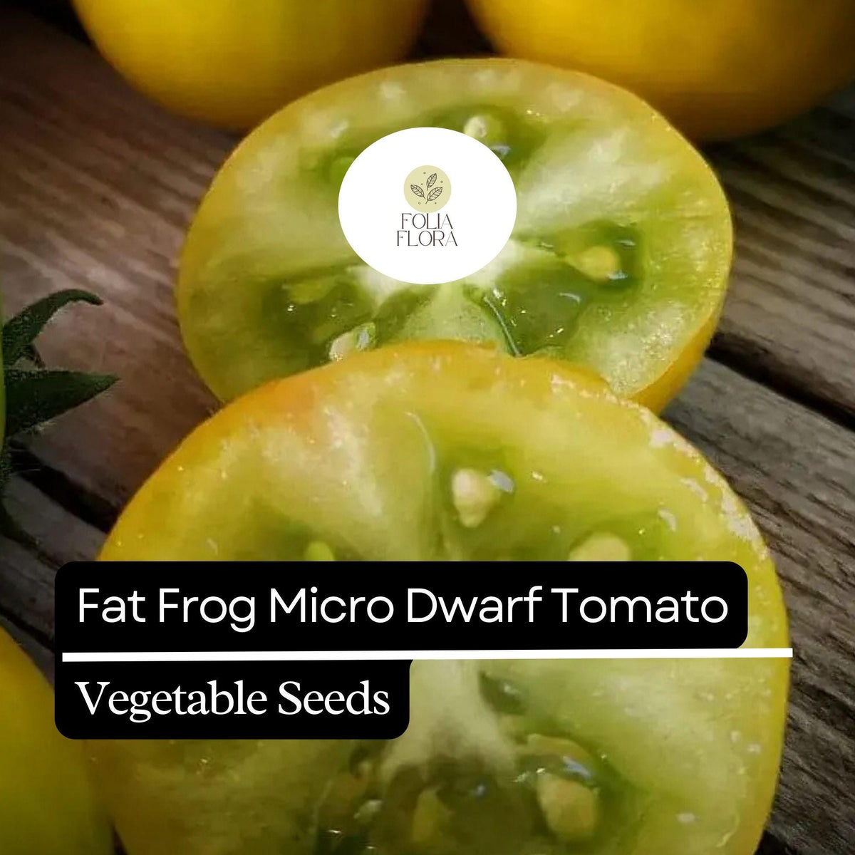 Fat Frog Micro Dwarf Tomato Seeds – 15 Heirloom Non-GMO Compact High-Yield