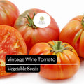 30 Vintage Wine Tomato Seeds – Heirloom Pink & Gold Striped