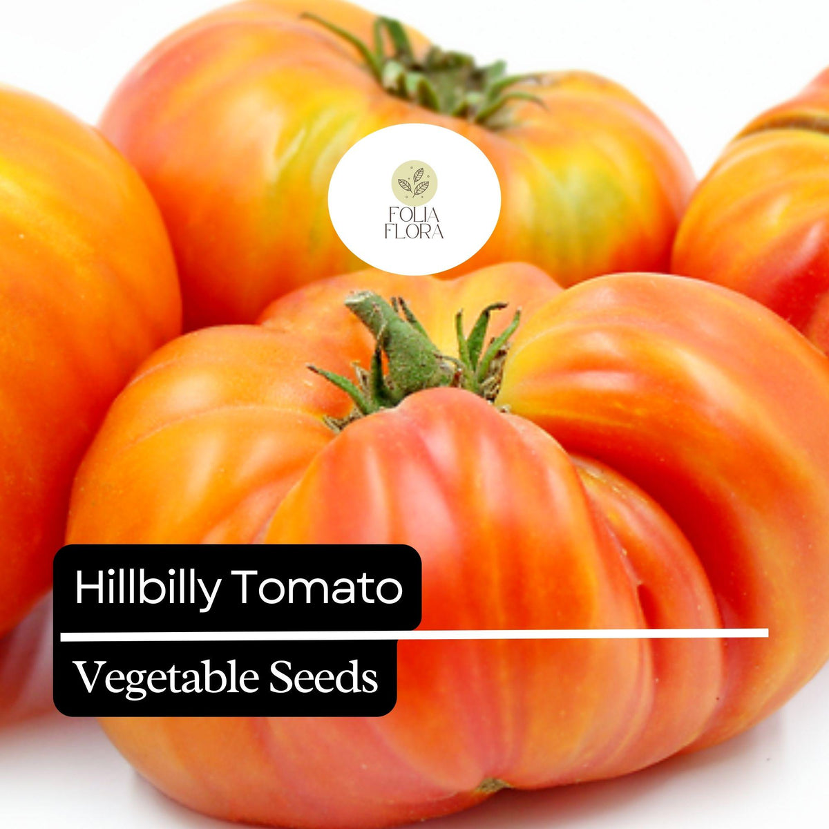 30 Hillbilly Tomato Seeds – Heirloom Beefsteak, Sweet & Juicy, Yellow-Orange with Red Stripes