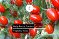 30 Baby Roma Tomato Seeds – Sweet Juicy Mini Plum Heirloom Tomatoes