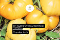 Dr. Wyche’s Yellow Tomato Seeds – 30 Heirloom Beefsteak Seeds for Planting