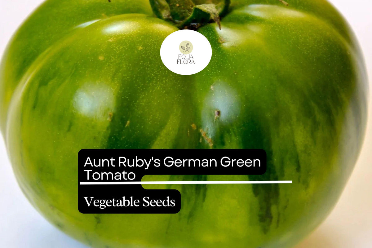 30 Aunt Ruby's German Green Tomato Seeds - Heirloom Beefsteak, Sweet & Tangy