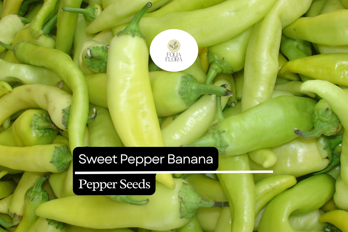 25 Sweet Banana Pepper Seeds – Heirloom Capsicum annuum, Mild & Sweet, Non-GMO
