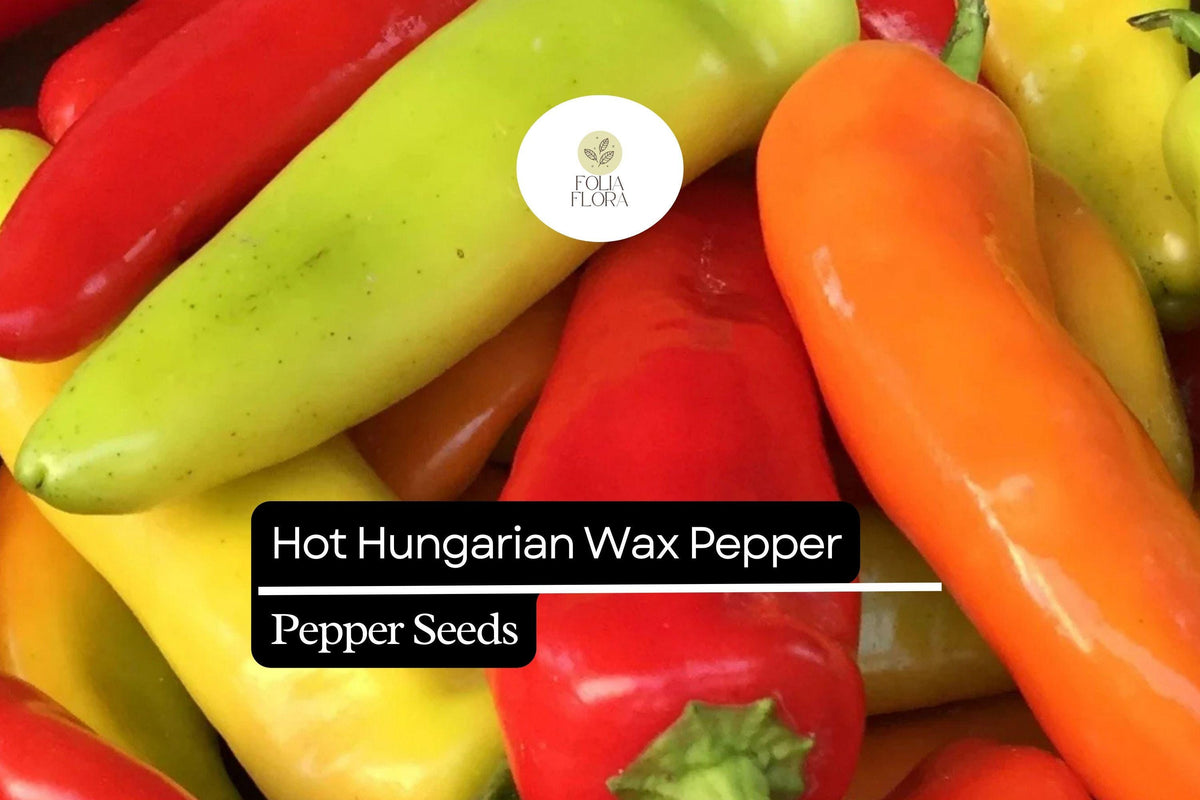 Hot Hungarian Wax Pepper Seeds - 25 Heirloom Capsicum annuum Seeds for Planting