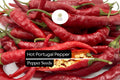 Hot Portugal Pepper Seeds – 25 Heirloom Medium-Hot Chili Seeds, Capsicum annuum