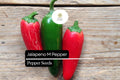Jalapeño M Pepper Seeds – 25 Heirloom Non-GMO Medium Heat Capsicum annuum