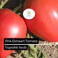 30 Pink Oxheart Tomato Seeds – Heirloom Non-GMO Large Juicy Tomatoes