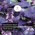 Red Rubin Basil Seeds - 200 Heirloom Non-GMO Purple Leaf Basil