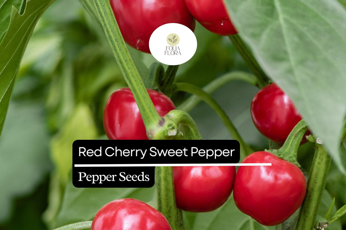 Sweet Red Cherry Pepper Seeds – Heirloom, Non-GMO (25 Seeds)
