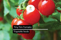 Tiny Tim Micro Dwarf Tomato Seeds – 30 Heirloom Cherry Tomato Seeds for Planting