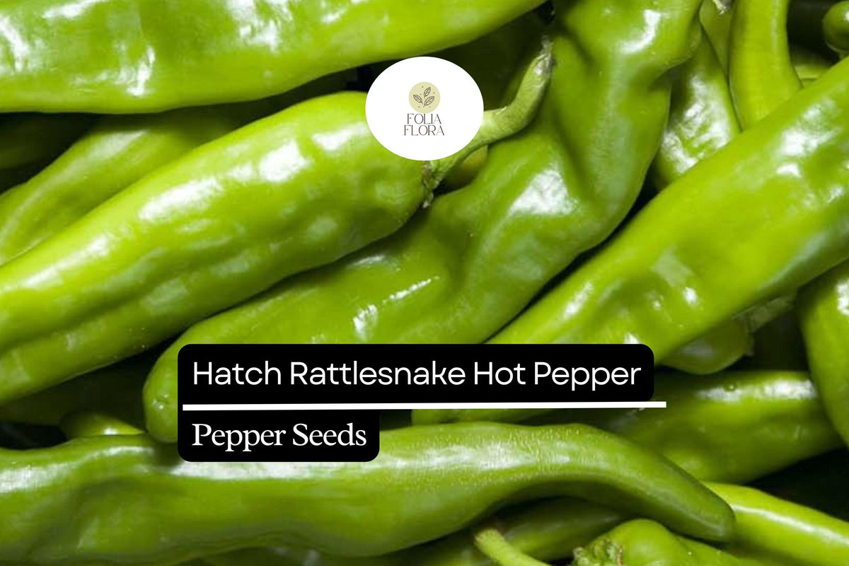 25 Hatch Rattlesnake Pepper Seeds – Heirloom Capsicum annuum, Spicy & Smoky