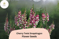 Cherry Twist Snapdragon Seeds – Vibrant Red Blooms, 1000 Seeds