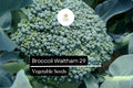 Waltham 29 Broccoli Seeds – 500 Heirloom, Cold-Hardy, High-Yield Seeds