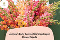 Snapdragon Seeds - Johnny's Potomac Early Sunrise Mix (1000 Seeds)