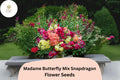 1000 Snapdragon Seeds Madame Butterfly Mix Antirrhinum majus Double-Petal Blooms