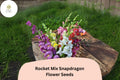 1000 Snapdragon Seeds Rocket Mix Antirrhinum majus Multicolor Garden Flowers