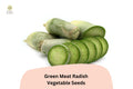 500 Green Meat Radish Seeds - Heirloom Daikon Variety, Crisp & Mild