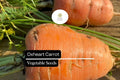 1000 Oxheart Carrot Seeds - Heirloom Short Thick Sweet Tender