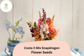 1000 Costa II Snapdragon Seeds – Vibrant Mixed Colors for Cut Flower Gardens