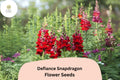 Defiance Snapdragon Seeds (Antirrhinum majus) - 1000 Seeds for Bold Red Blooms