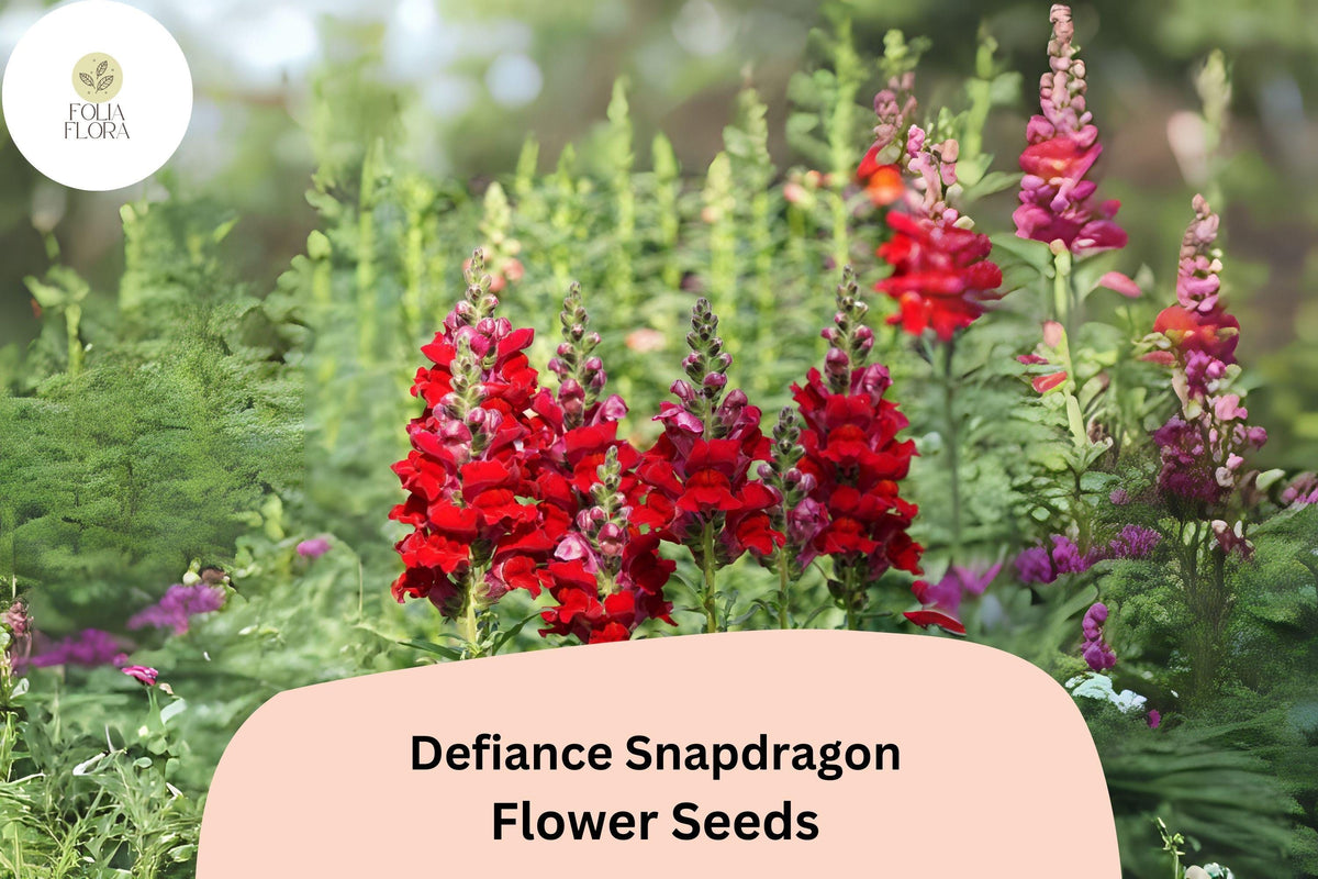 Defiance Snapdragon Seeds (Antirrhinum majus) - 1000 Seeds for Bold Red Blooms