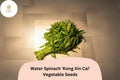 Water Spinach Seeds - 120pcs Kong Xin Cai, Fast-Growing Asian Green, Non-GMO Heirloom