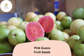 50 Tropical Strawberry Guava Seeds – Organic Pink Guava Exotic Fruit Tree