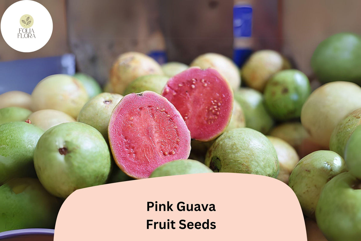 50 Tropical Strawberry Guava Seeds – Organic Pink Guava Exotic Fruit Tree