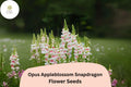 1000 Opus Appleblossom Snapdragon Seeds - Soft Pink & White Blooms