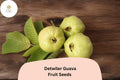50 Detwiler Guava Seeds – Psidium guajava for Home & Garden Planting