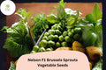 Nelson F1 Brussels Sprouts Seeds – 500 High-Yield Hybrid Seeds for Garden Growing