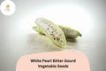 White Pearl Bitter Gourd Seeds – 15 Rare Non-GMO Melon Seeds for Garden