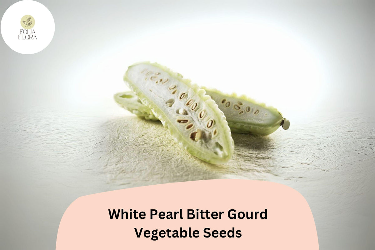White Pearl Bitter Gourd Seeds – 15 Rare Non-GMO Melon Seeds for Garden