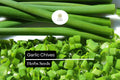 Garlic Chive Seeds – 500 Heirloom Perennial Herb Seeds for Planting
