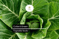 Organic Collard Greens Seeds – 25 Heirloom Seeds for Planting