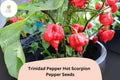 25 Trinidad Scorpion Pepper Seeds - Extremely Hot Chili, Rare Heirloom, Non-GMO