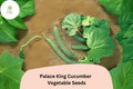 Palace King Cucumber Seeds - High Yield, Easy to Grow (25 Seeds)