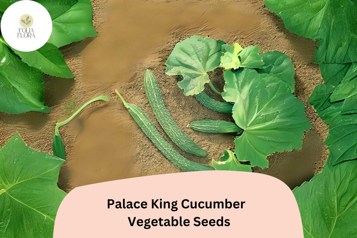 Palace King Cucumber Seeds - High Yield, Easy to Grow (25 Seeds)
