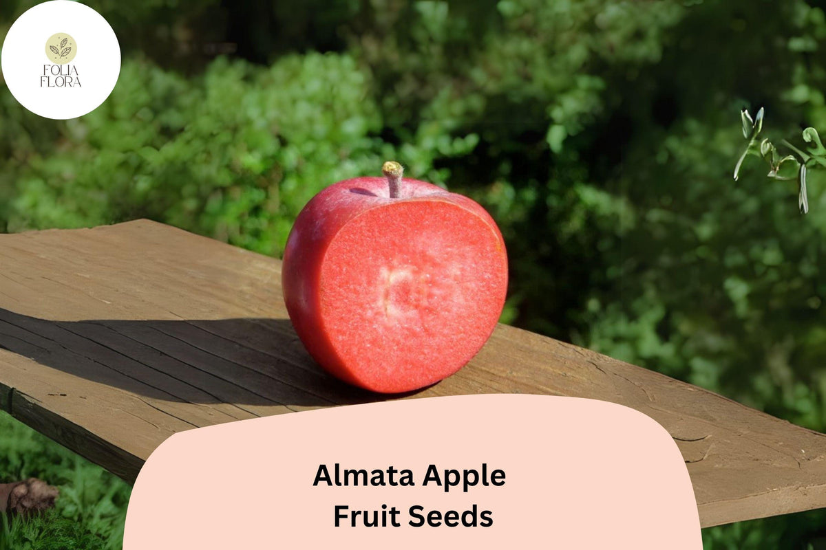 25 Almata Apple Seeds - Rare Red-Flesh Fruit Tree