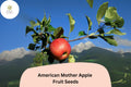 American Mother Apple Seeds – 25 Heirloom Dessert Apple Seeds for Planting