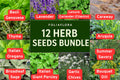 Herb Seed Bundle: 12 Varieties Including Basil, Dill, Lavender & Thyme for Kitchen Garden